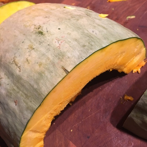 Winter Squash, Sibley