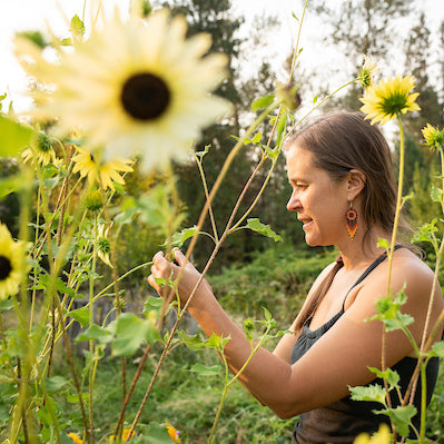 Sunflower, Italian White