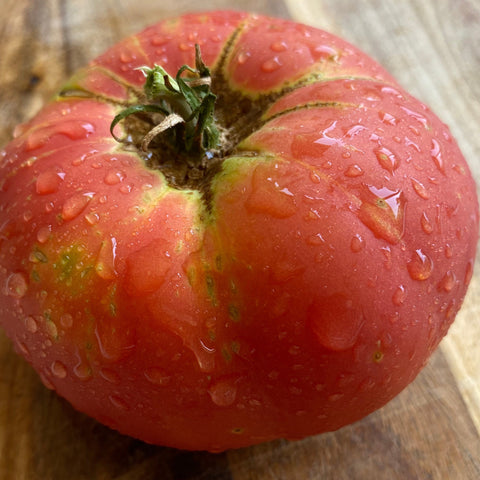 Tomato, Brandywine