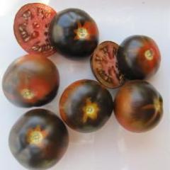 Tomato, Chestnut Chocolate