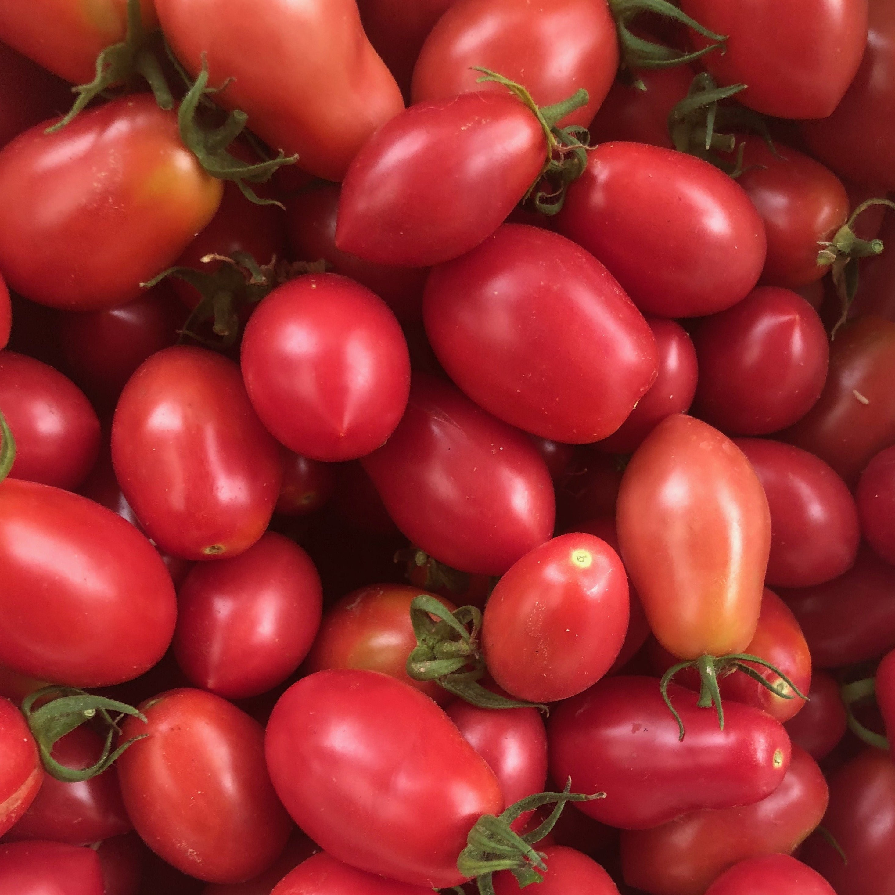 Burbank Slicing- Organic Tomato Seeds