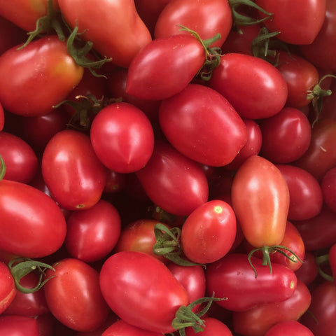 Tomato, Feliciana