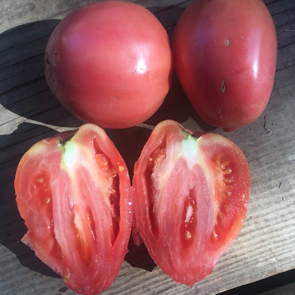 Tomato, Hungarian Heart