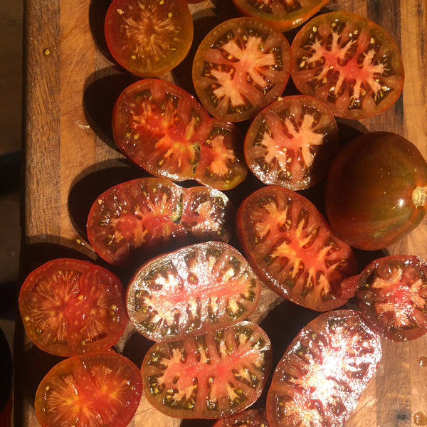 Tomato, Japanese Black Trifele