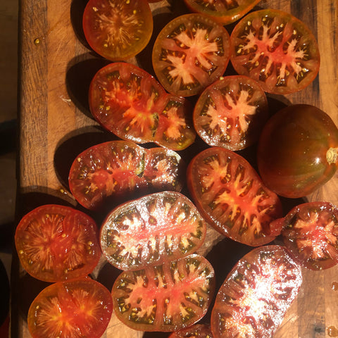 Tomato, Japanese Black Trifele