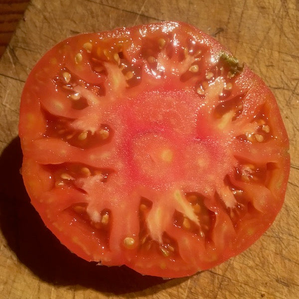 Tomato, Polish Giant, organic, open pollinated, heirloom