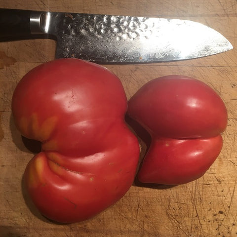 Tomato, Spitze Paste