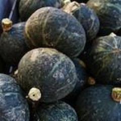 Winter Squash, Black Forest Kabocha