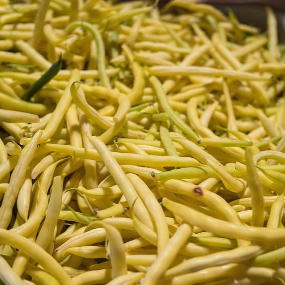 Beans, Indy Gold Wax
