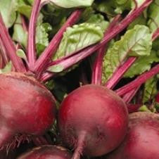 Beet, Shiraz