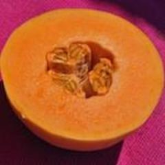 Melon, Huerfano Bliss