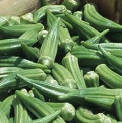 Okra, Cajun Jewel