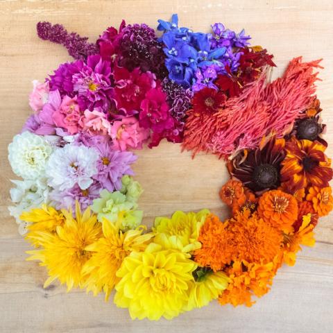 Flower CSA, organic, open pollinated, cut flowers