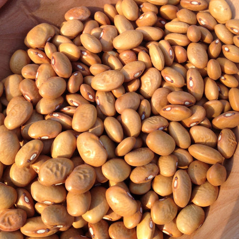 Beans, Yellow Bush Heirloom