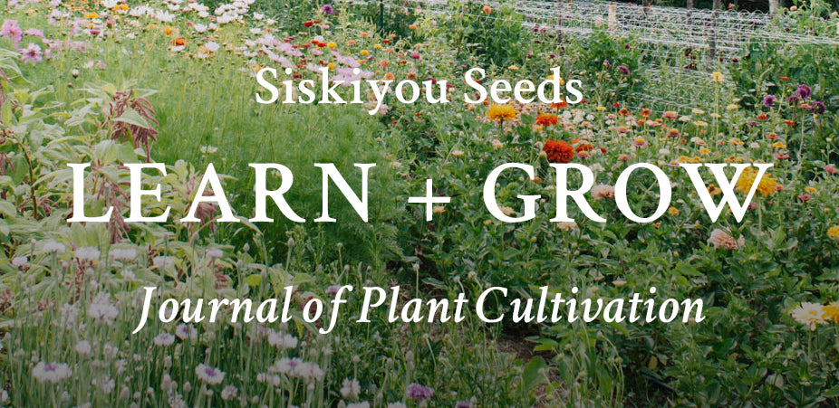 Siskiyou Seeds - Learn + Grow: Journal of Plant Cultivation